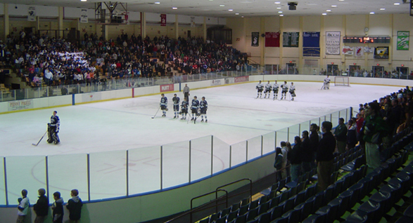 Mennen Arena, not yet full